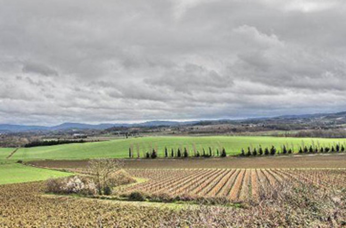 20220223165506_94882