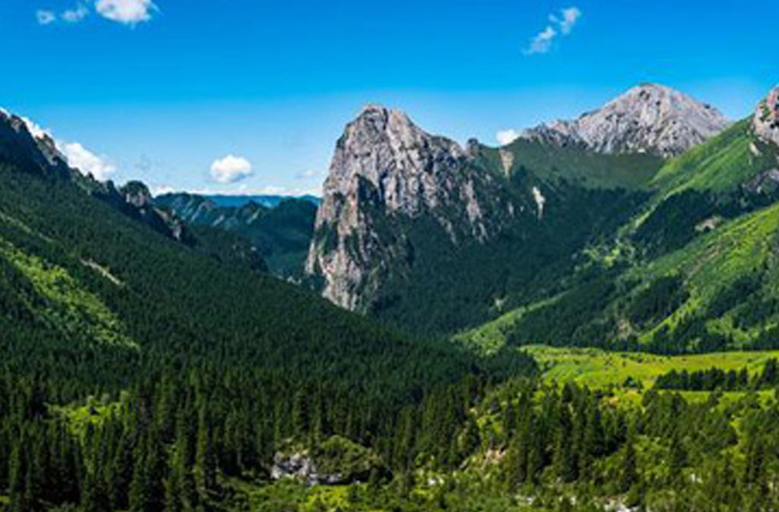 20220329090351_91491