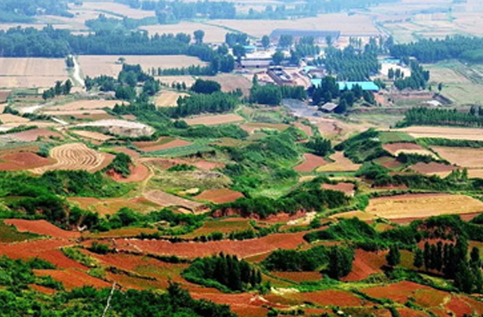 20220520084956_47541