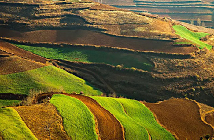 20220721085702_88849