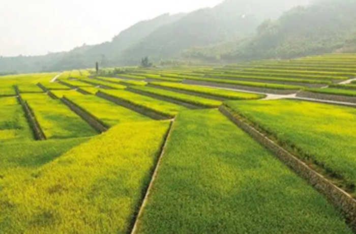 20230418153057_52009