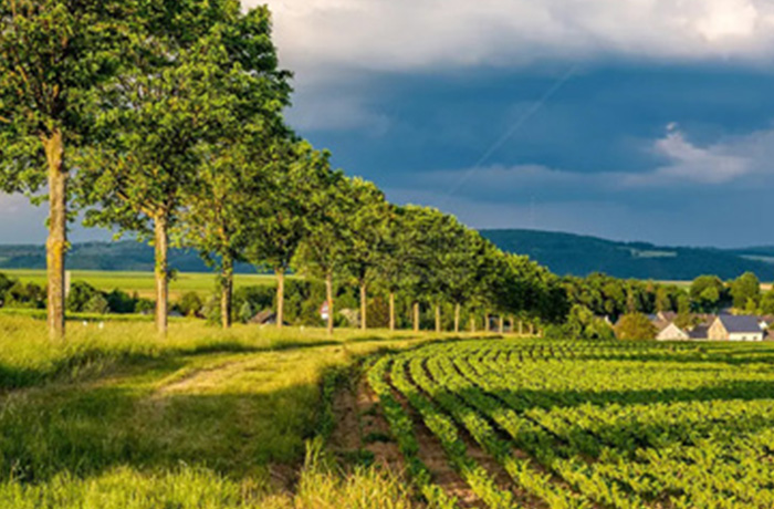 20230517085004_15273