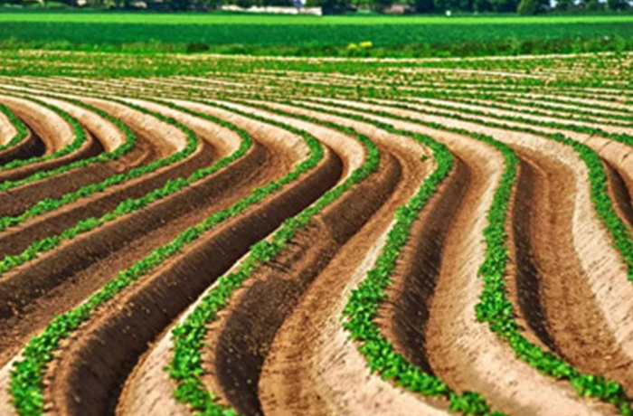 20230620085537_92089