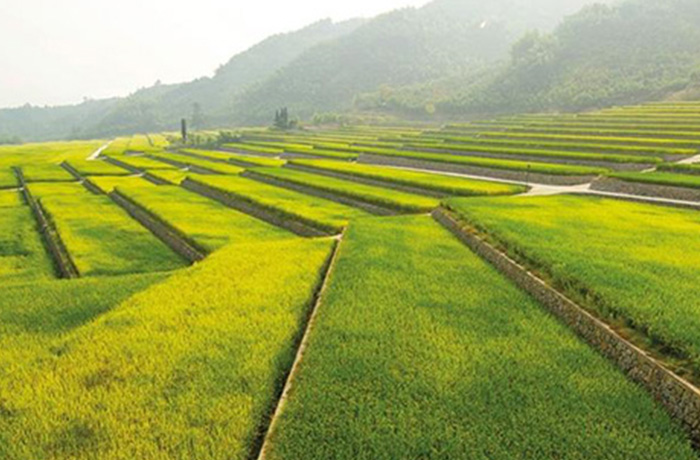 20230821084348_33287