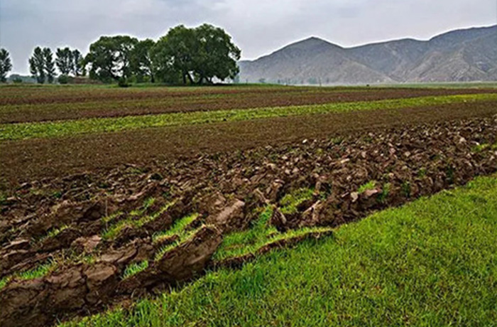 20240719143431_43247