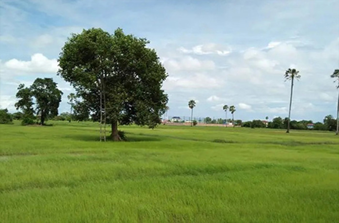 20241018145702_74361