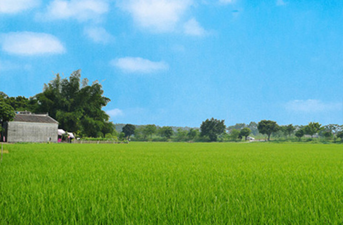 20241018151111_50501