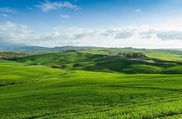 20241230145244_45529