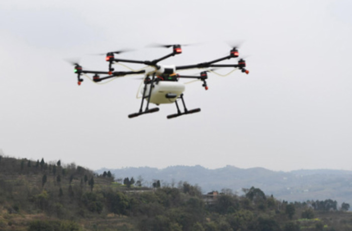 20250113154308_95779