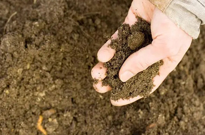 20250324153014_36893