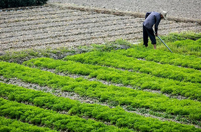 20250625150307_18625