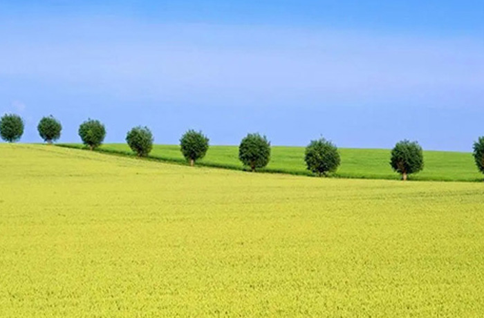 20250731142511_35864