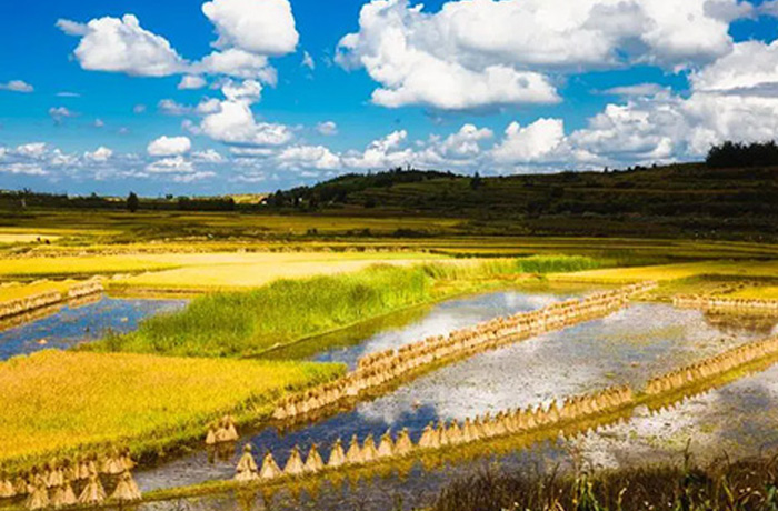 20250827145027_69979