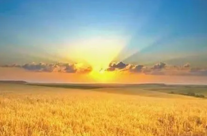 20250923150706_51021