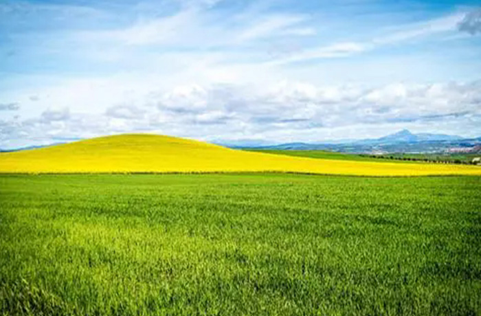 20251031145556_65404