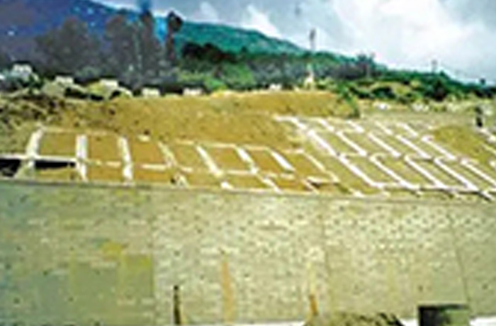 20260320144521_13128